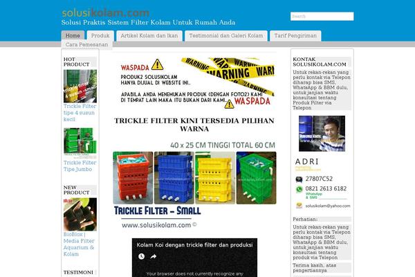 WordPress website example screenshot