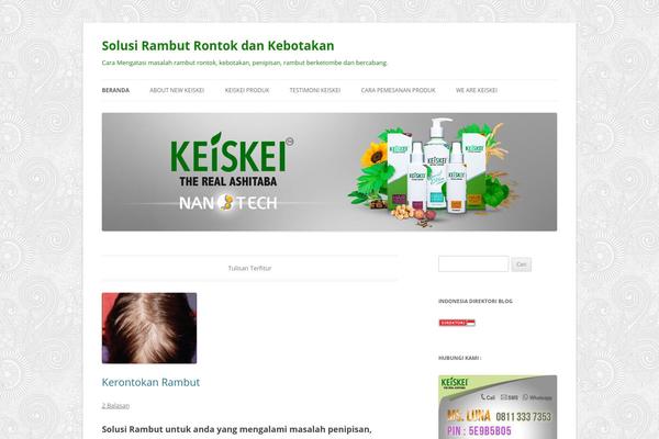 WordPress website example screenshot