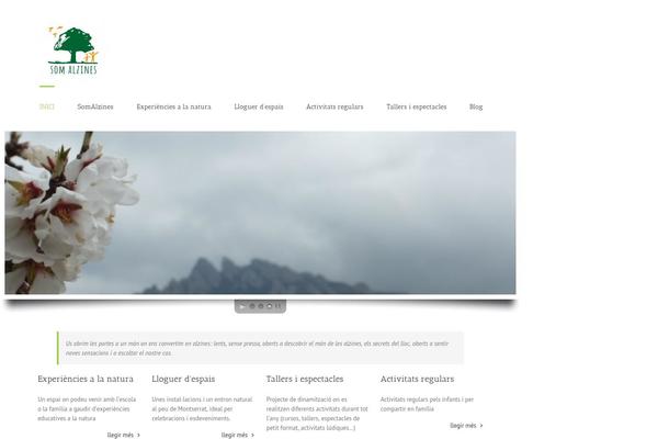 Avada theme site design template sample