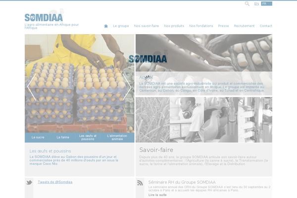 somdiaa.com site used Somdiaa