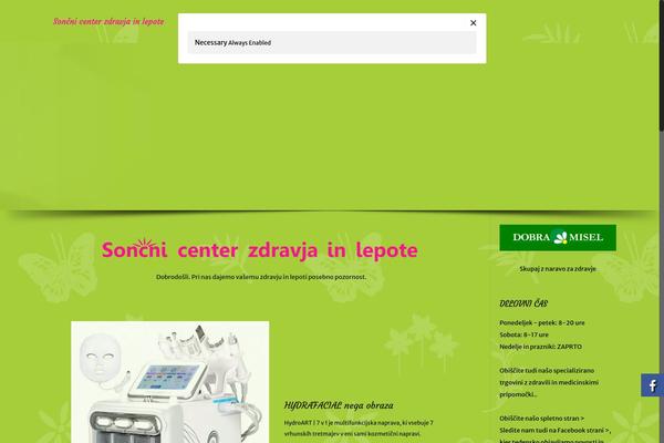WordPress website example screenshot