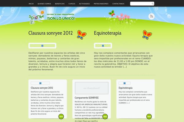 WordPress website example screenshot