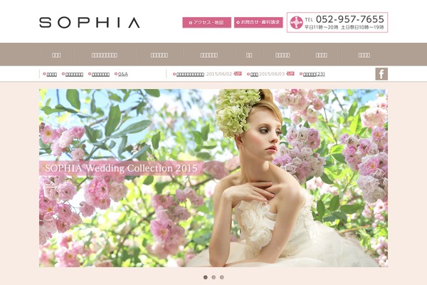 sophia-co.co.jp site used Sophia