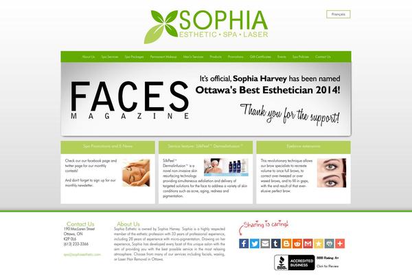 WordPress website example screenshot