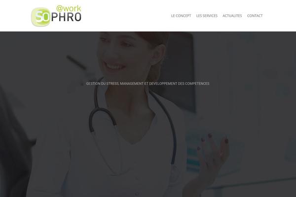 Porto theme site design template sample