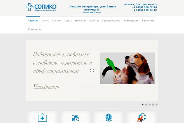 sopico.ru site used Theme1619