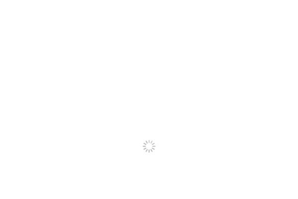 The7 theme site design template sample