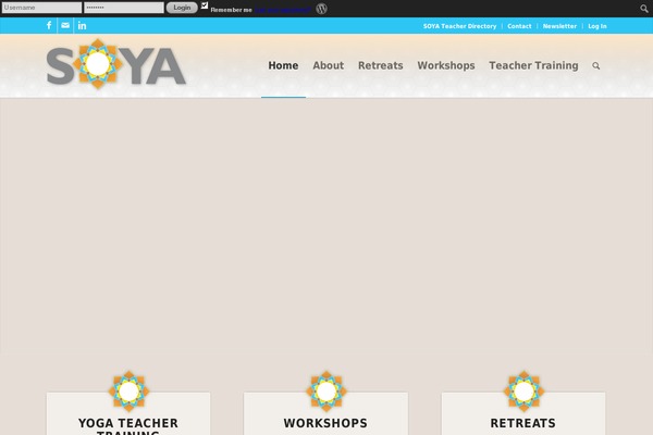 soyayoga.com site used Divi-coach