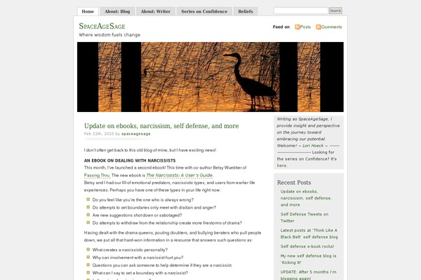 WordPress website example screenshot