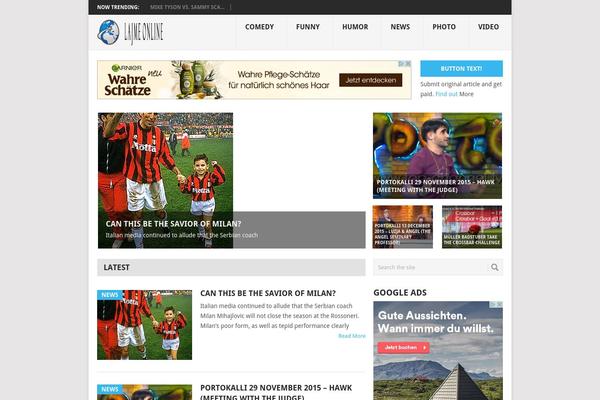 WordPress website example screenshot