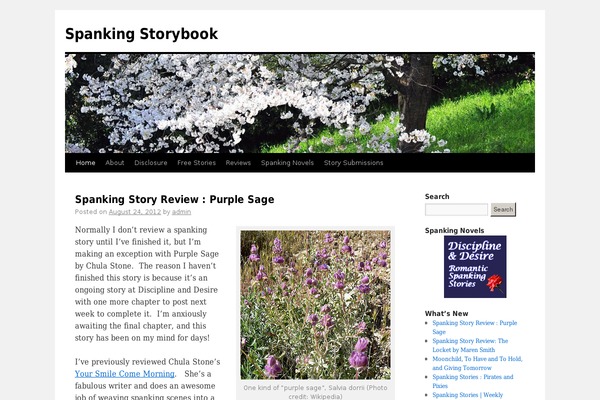 WordPress website example screenshot