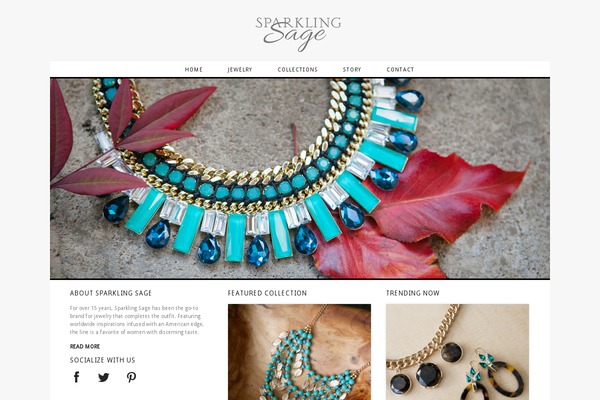 ProPhoto 5 theme site design template sample
