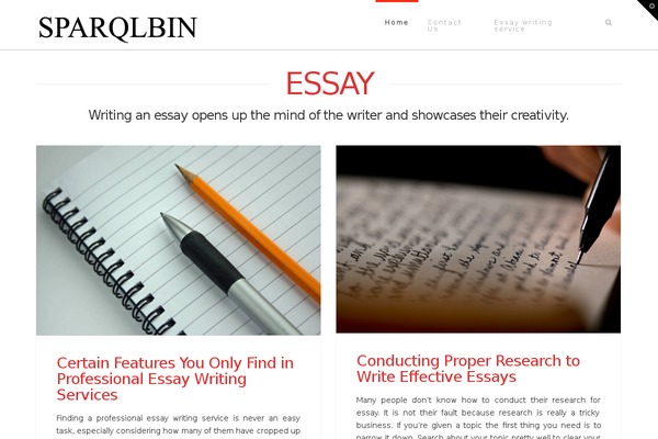 WordPress website example screenshot
