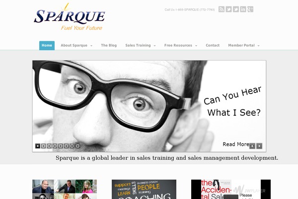 sparque.biz site used Mentor
