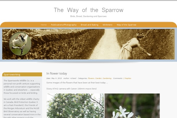 Site using Jetpack by WordPress.com plugin