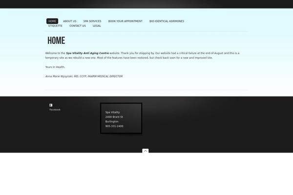 WordPress website example screenshot