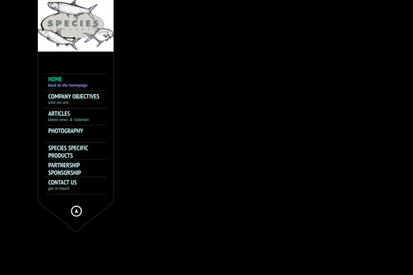 King Size theme site design template sample
