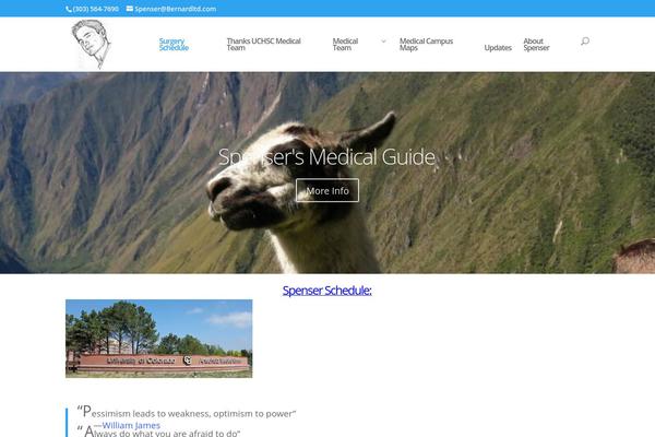 Divi theme site design template sample