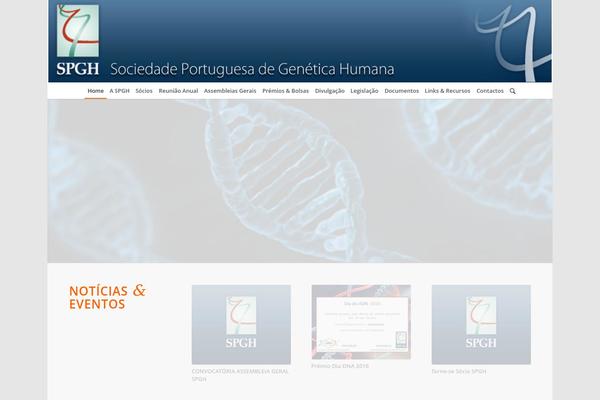 Enfold theme site design template sample