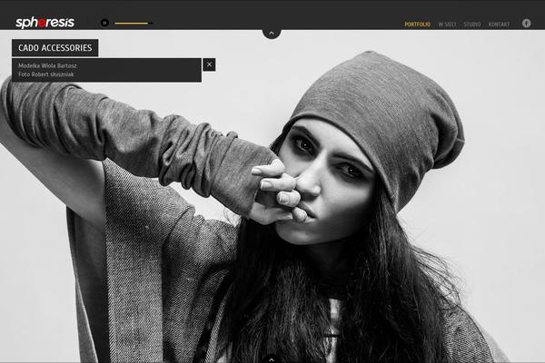 photoartist theme websites examples