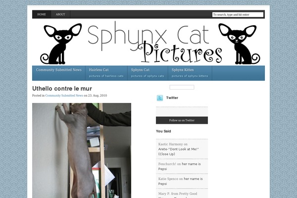 sphynxcatpictures.com site used Digital Farm