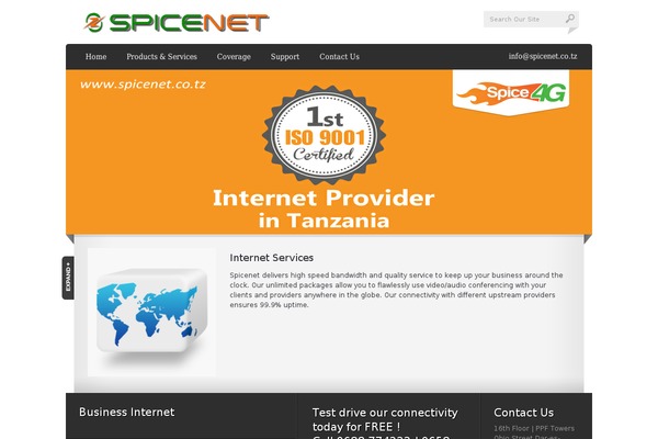 spicenet.co.tz site used Paradigm