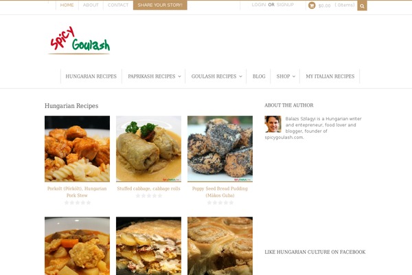 WordPress website example screenshot