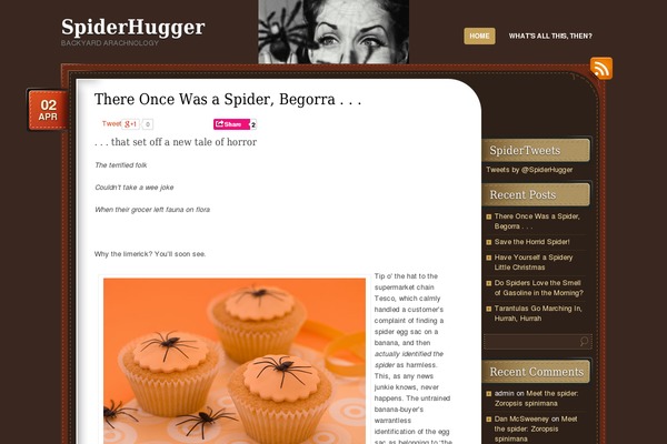 spiderhugger.com site used Choco