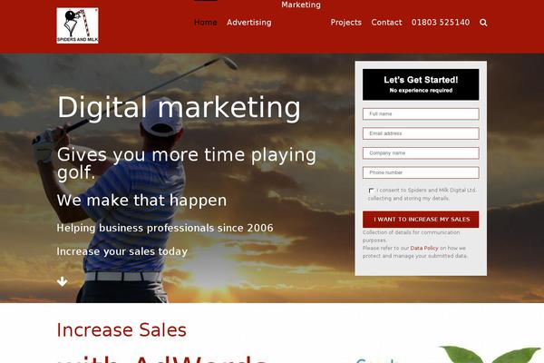 WordPress website example screenshot