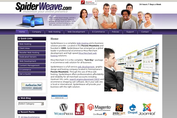 SpiderWeave theme websites examples