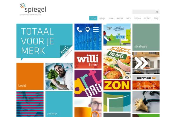 spiegel.nl site used Spiegelcc