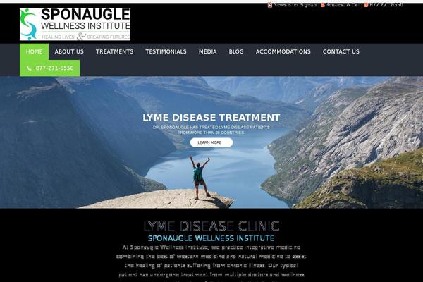 theme51357 theme websites examples