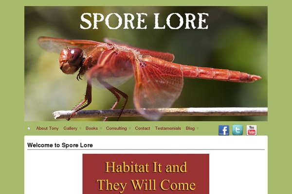 Suffusion theme site design template sample