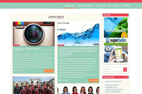 Dynamic News Lite theme site design template sample