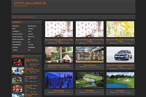 Wallpresssnicerespo theme site design template sample
