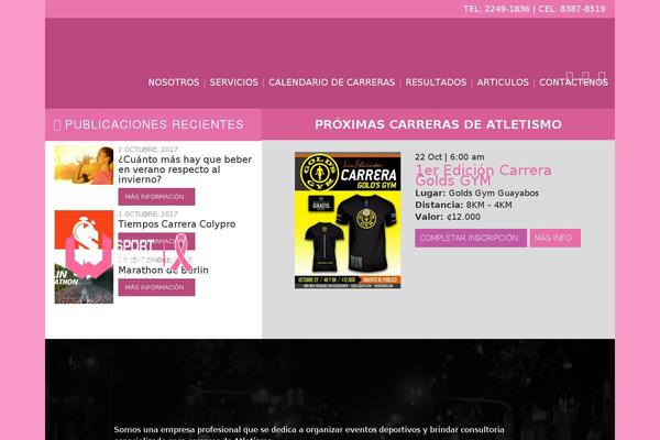 WordPress website example screenshot
