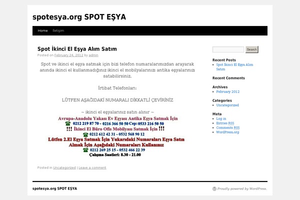 Twenty Ten theme site design template sample