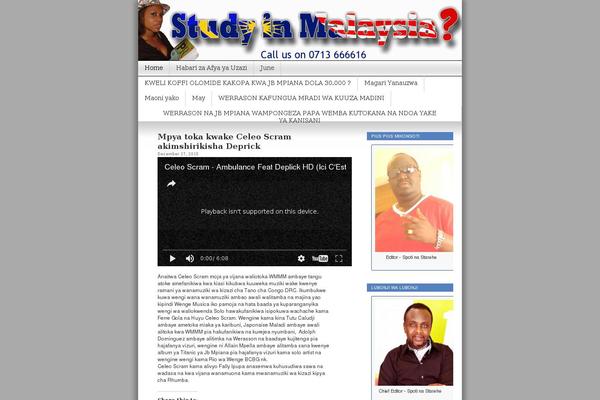 WordPress website example screenshot