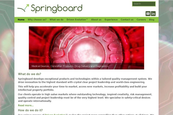 SpringBoard theme site design template sample