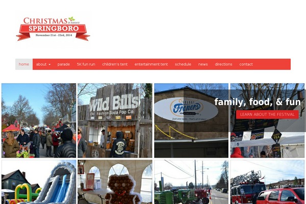 WordPress website example screenshot
