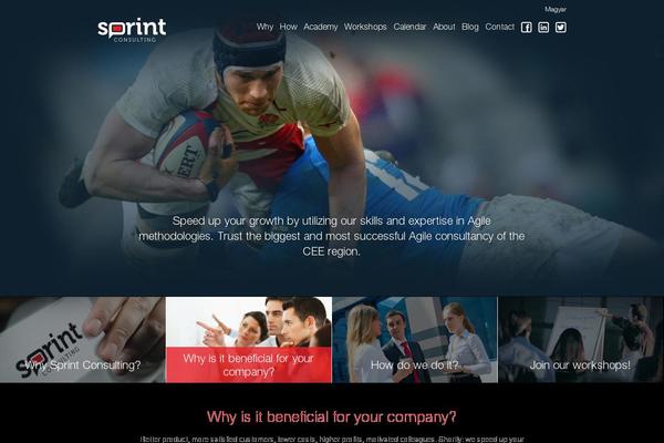 sprintconsulting.com site used Sprint_2014