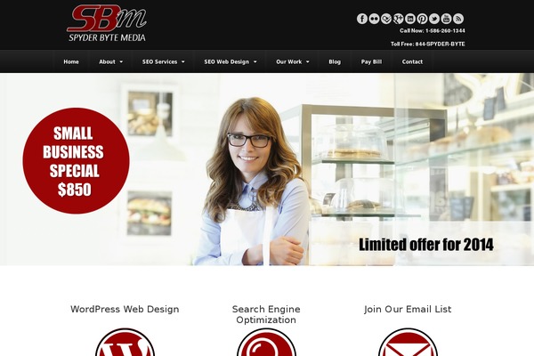 WordPress website example screenshot