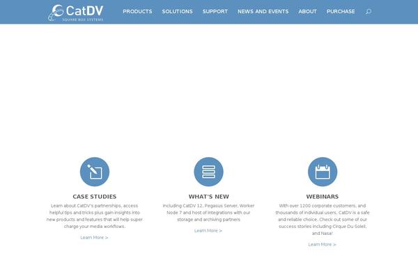 DynamiX-Wordpress theme websites examples