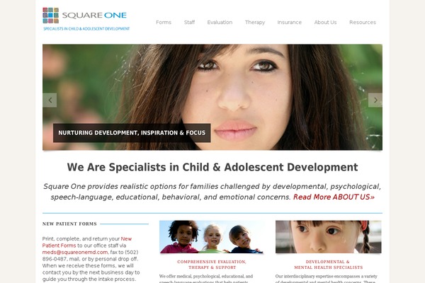 Site using Dt-the7-core plugin