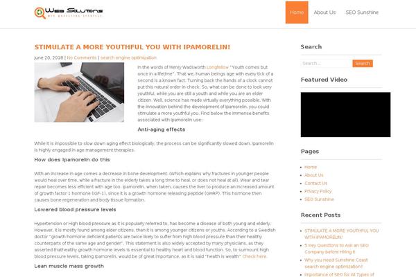 WordPress website example screenshot