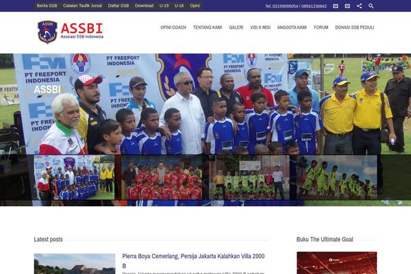 Sahifa theme site design template sample