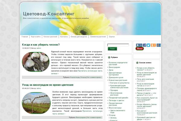 ssdosug.ru site used VioMag