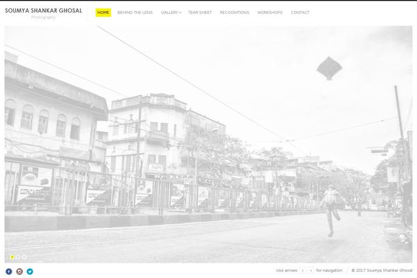 Fluxus theme site design template sample