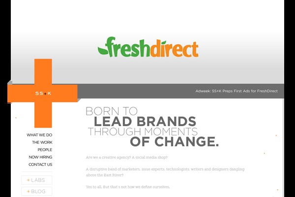 ssk theme websites examples
