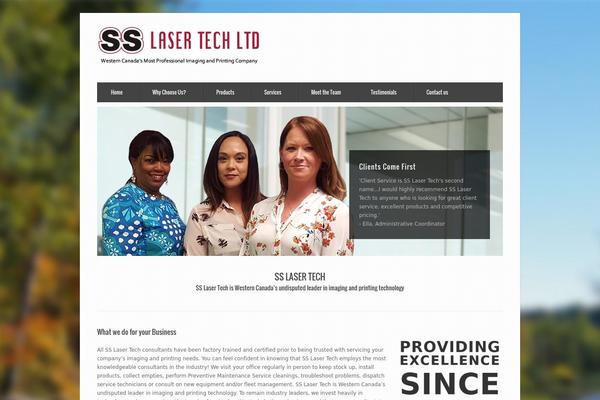WordPress website example screenshot